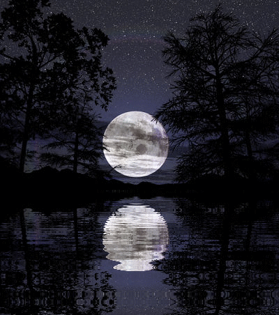 moon in water