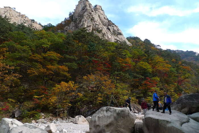 이미지를 클릭하시면 원본크기로 보실수 있습니다.