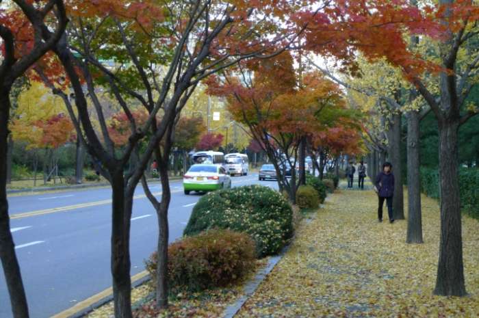 이미지를 클릭하시면 원본크기로 보실수 있습니다.