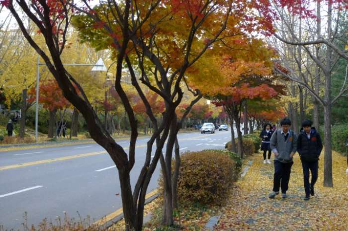 이미지를 클릭하시면 원본크기로 보실수 있습니다.