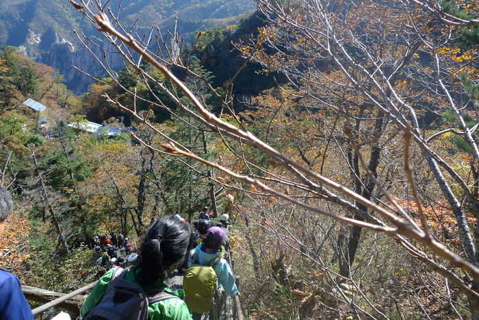 이미지를 클릭하시면 원본크기로 보실수 있습니다.