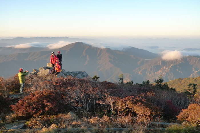 이미지를 클릭하시면 원본크기로 보실수 있습니다.