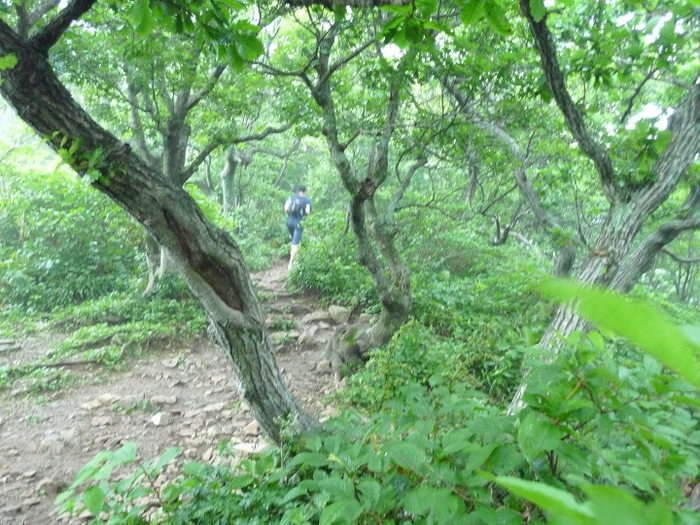이미지를 클릭하시면 원본크기로 보실수 있습니다.