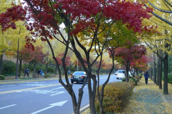 이미지를 클릭하시면 원본크기로 보실수 있습니다.