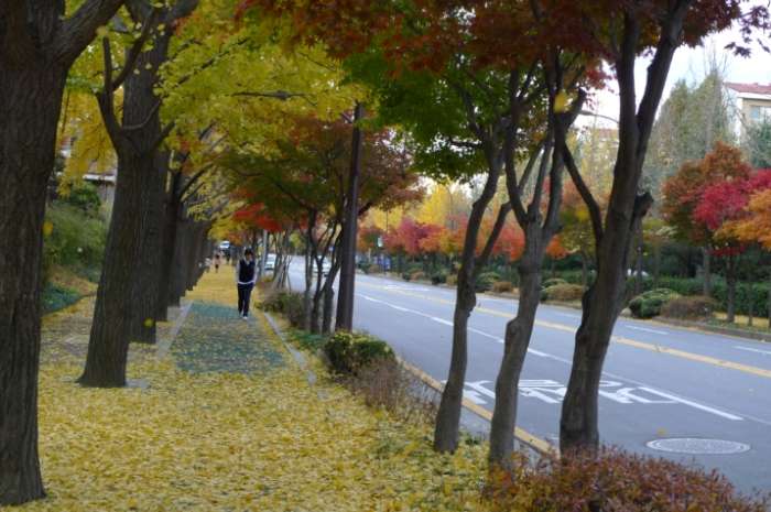 이미지를 클릭하시면 원본크기로 보실수 있습니다.