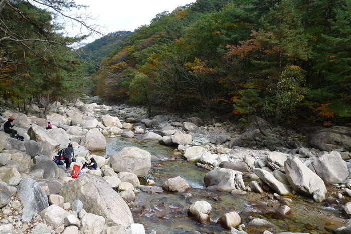 이미지를 클릭하시면 원본크기로 보실수 있습니다.