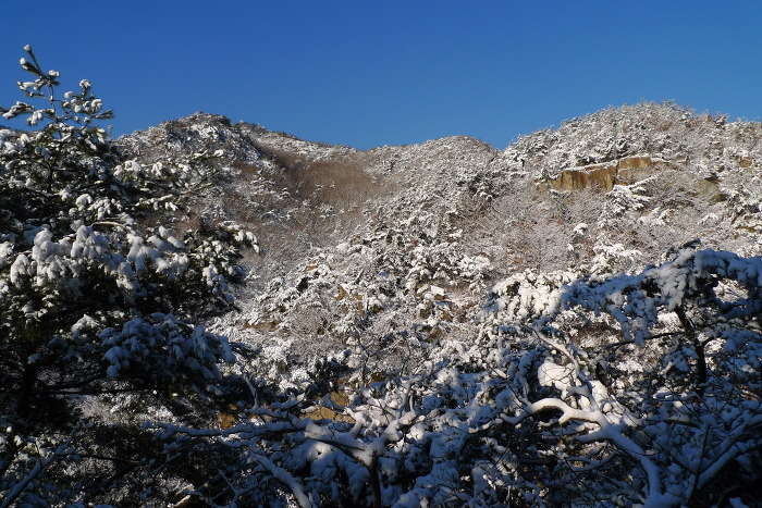 이미지를 클릭하시면 원본크기로 보실수 있습니다.