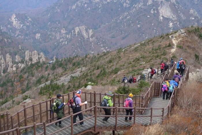 이미지를 클릭하시면 원본크기로 보실수 있습니다.