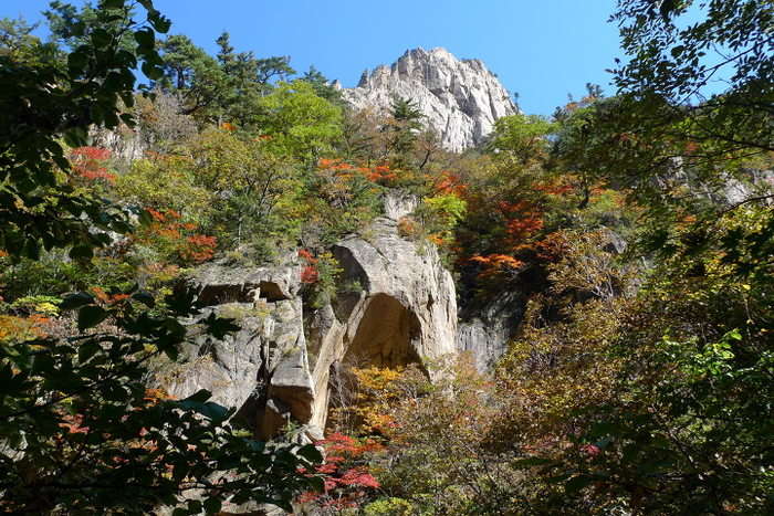 이미지를 클릭하시면 원본크기로 보실수 있습니다.