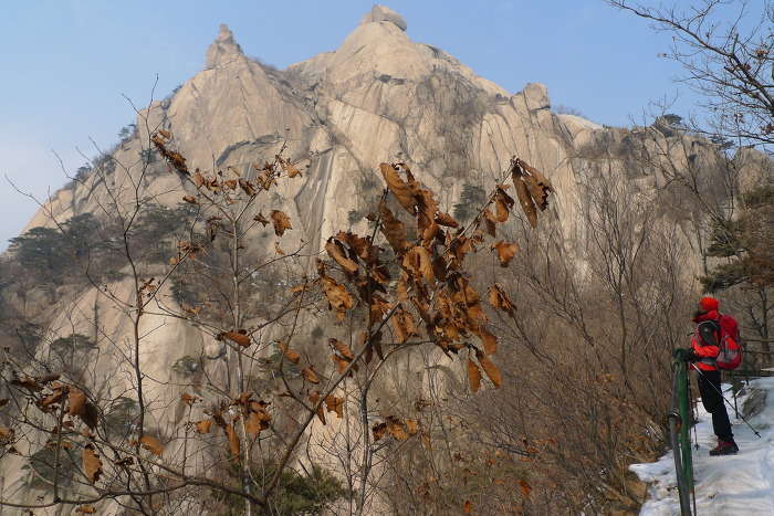 이미지를 클릭하시면 원본크기로 보실수 있습니다.