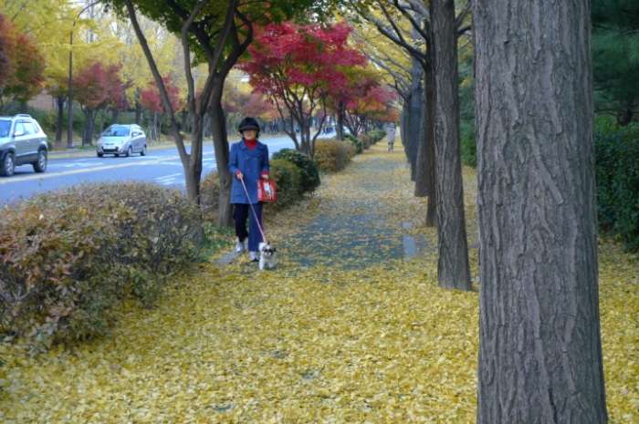 이미지를 클릭하시면 원본크기로 보실수 있습니다.