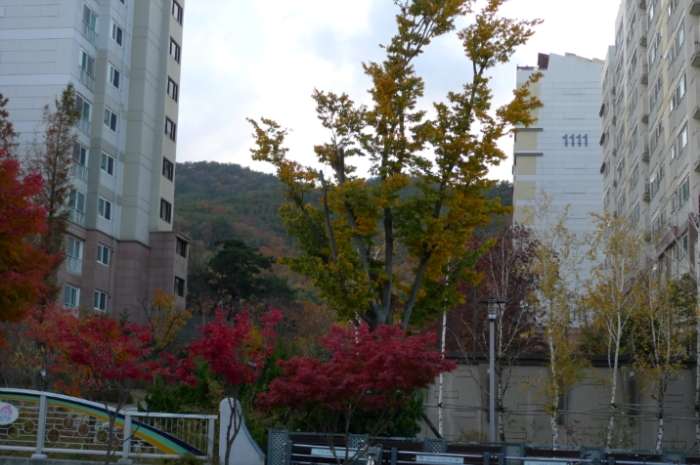 이미지를 클릭하시면 원본크기로 보실수 있습니다.