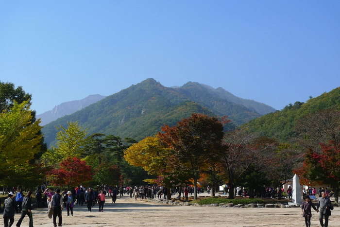 이미지를 클릭하시면 원본크기로 보실수 있습니다.