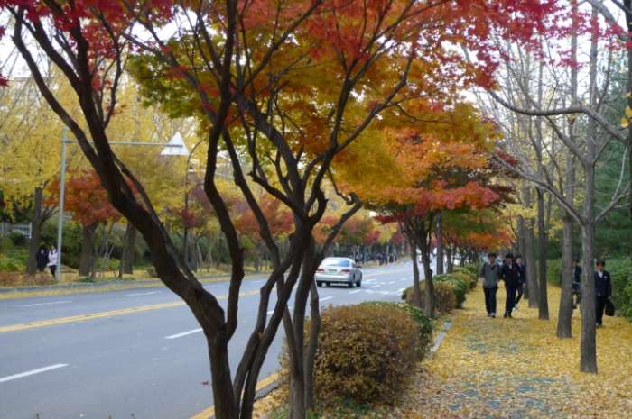 이미지를 클릭하시면 원본크기로 보실수 있습니다.