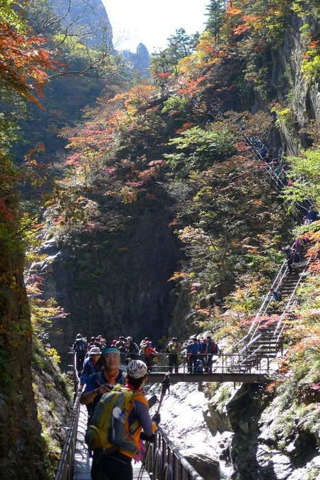 이미지를 클릭하시면 원본크기로 보실수 있습니다.
