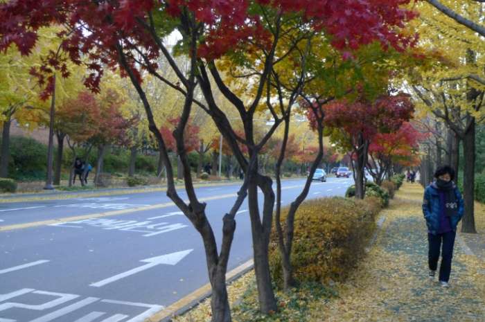 이미지를 클릭하시면 원본크기로 보실수 있습니다.