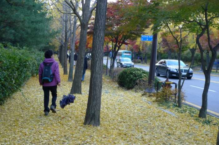 이미지를 클릭하시면 원본크기로 보실수 있습니다.