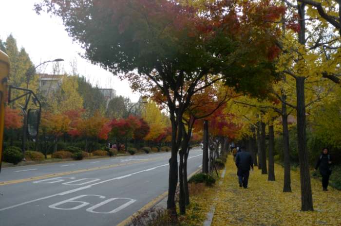 이미지를 클릭하시면 원본크기로 보실수 있습니다.