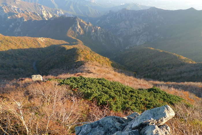 이미지를 클릭하시면 원본크기로 보실수 있습니다.