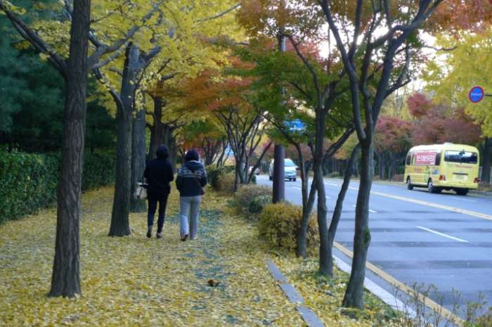 이미지를 클릭하시면 원본크기로 보실수 있습니다.