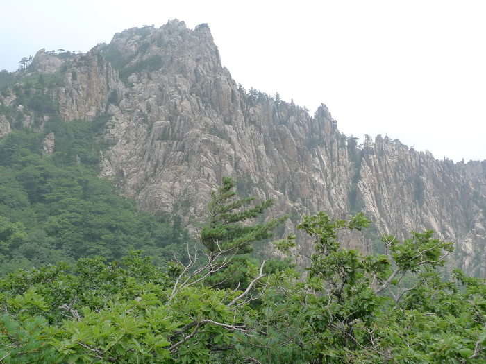 이미지를 클릭하시면 원본크기로 보실수 있습니다.