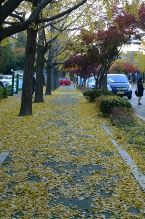 이미지를 클릭하시면 원본크기로 보실수 있습니다.