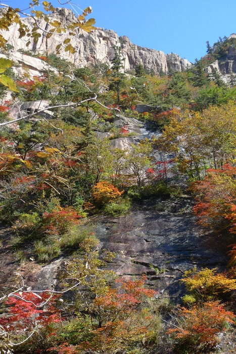 이미지를 클릭하시면 원본크기로 보실수 있습니다.