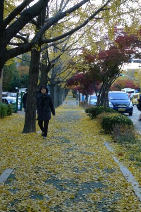 이미지를 클릭하시면 원본크기로 보실수 있습니다.