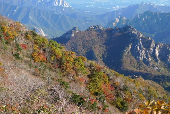 이미지를 클릭하시면 원본크기로 보실수 있습니다.