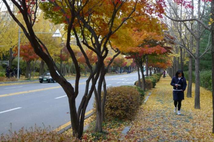 이미지를 클릭하시면 원본크기로 보실수 있습니다.