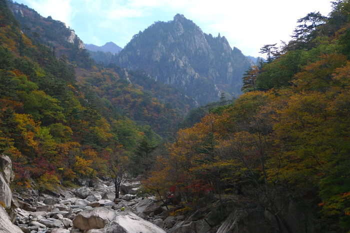 이미지를 클릭하시면 원본크기로 보실수 있습니다.