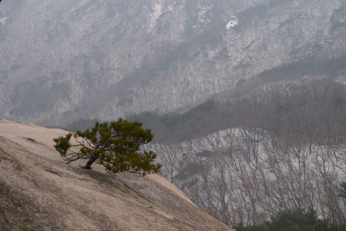 이미지를 클릭하시면 원본크기로 보실수 있습니다.
