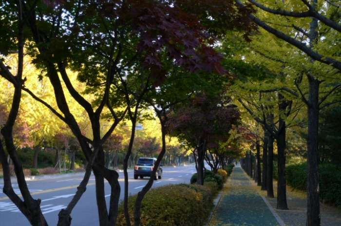 이미지를 클릭하시면 원본크기로 보실수 있습니다.