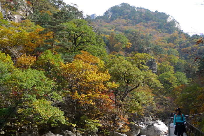 이미지를 클릭하시면 원본크기로 보실수 있습니다.