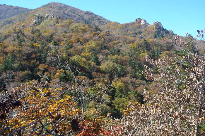 이미지를 클릭하시면 원본크기로 보실수 있습니다.