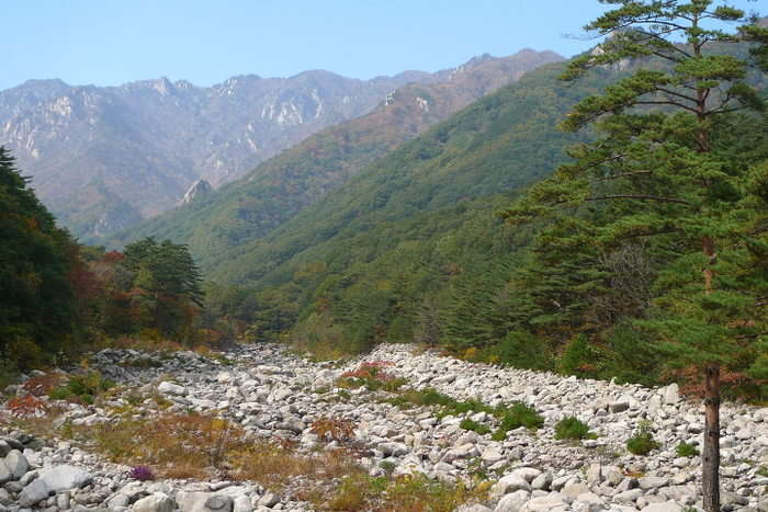이미지를 클릭하시면 원본크기로 보실수 있습니다.