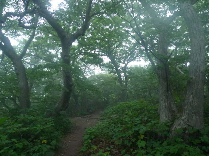 이미지를 클릭하시면 원본크기로 보실수 있습니다.