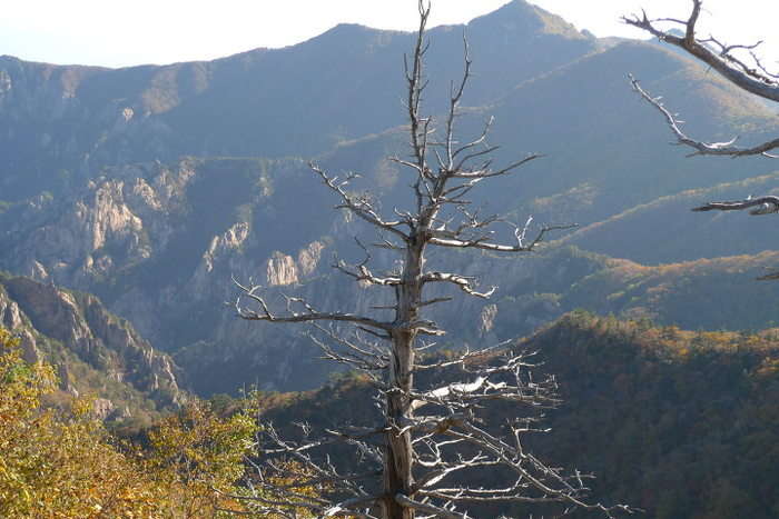 이미지를 클릭하시면 원본크기로 보실수 있습니다.