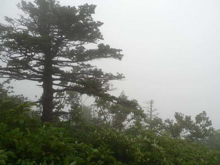 이미지를 클릭하시면 원본크기로 보실수 있습니다.