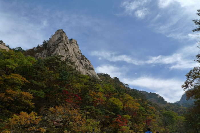 이미지를 클릭하시면 원본크기로 보실수 있습니다.