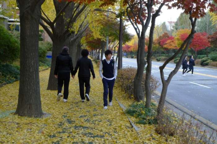 이미지를 클릭하시면 원본크기로 보실수 있습니다.