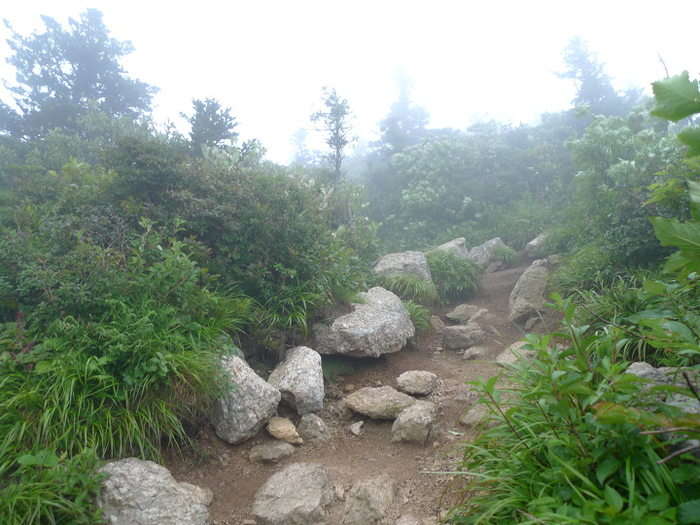 이미지를 클릭하시면 원본크기로 보실수 있습니다.