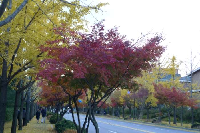이미지를 클릭하시면 원본크기로 보실수 있습니다.