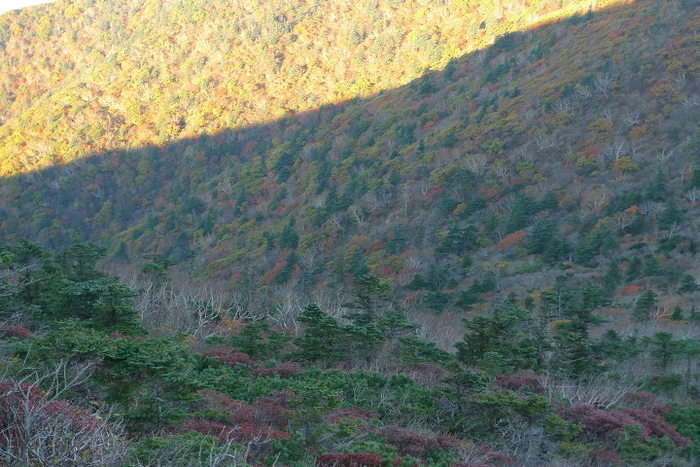 이미지를 클릭하시면 원본크기로 보실수 있습니다.