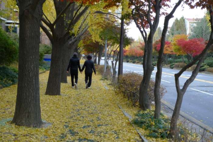 이미지를 클릭하시면 원본크기로 보실수 있습니다.
