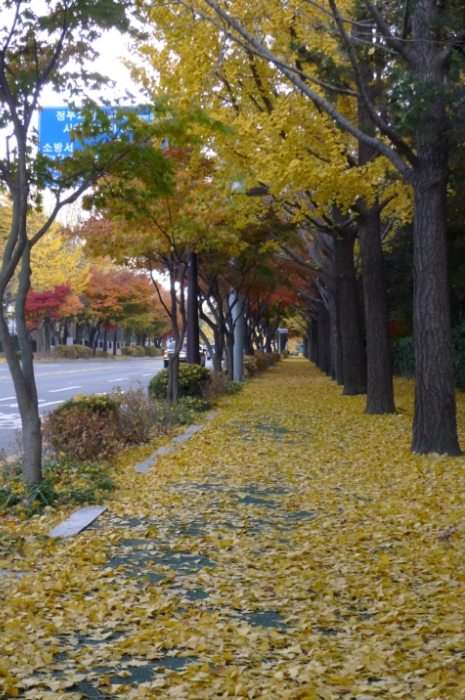 이미지를 클릭하시면 원본크기로 보실수 있습니다.
