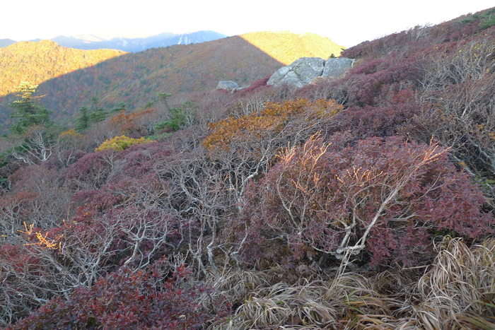 이미지를 클릭하시면 원본크기로 보실수 있습니다.
