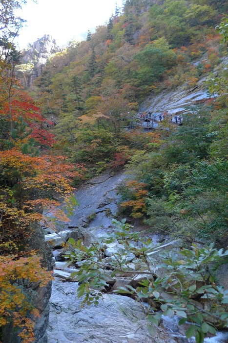 이미지를 클릭하시면 원본크기로 보실수 있습니다.