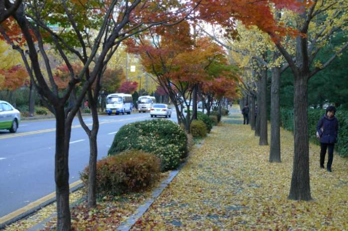 이미지를 클릭하시면 원본크기로 보실수 있습니다.