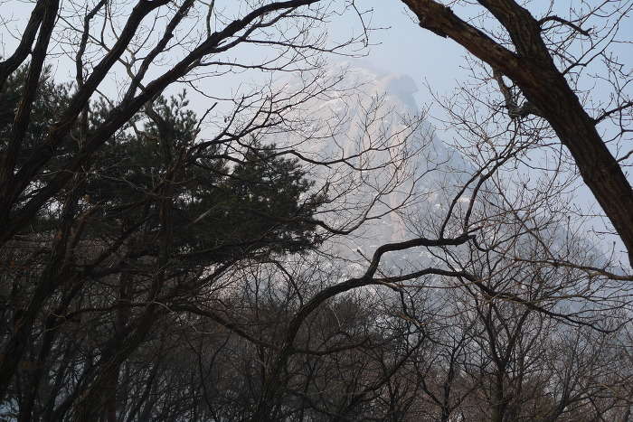이미지를 클릭하시면 원본크기로 보실수 있습니다.